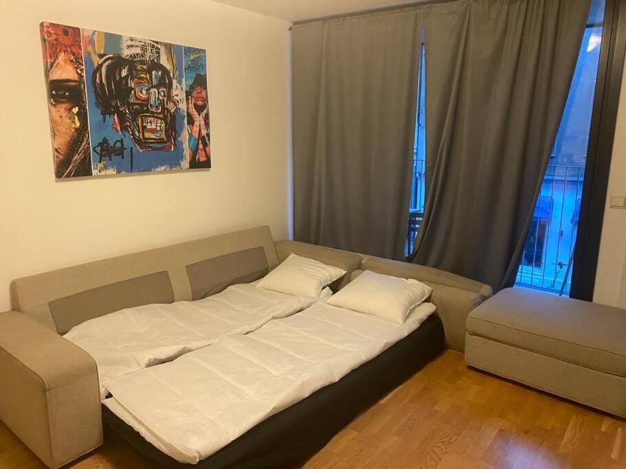 Leilighet Midt I Oslo Sentrum 2 Soverom Og Stue Esterno foto